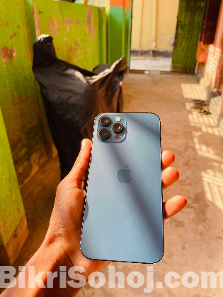 iPhone 12 pro max